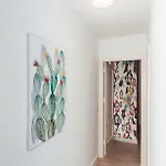 Luxury Apartamento
